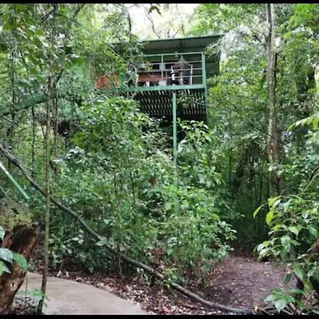 Jungle Living Tree Houses Monteverde Exteriör bild