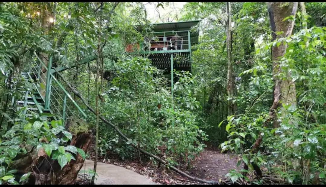 Jungle Living Tree Houses Monteverde Exteriör bild
