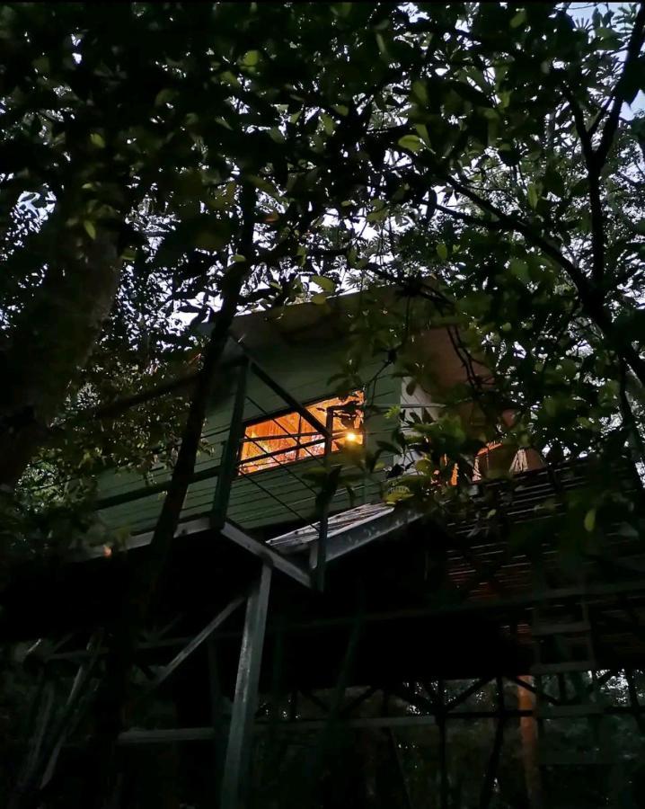 Jungle Living Tree Houses Monteverde Exteriör bild