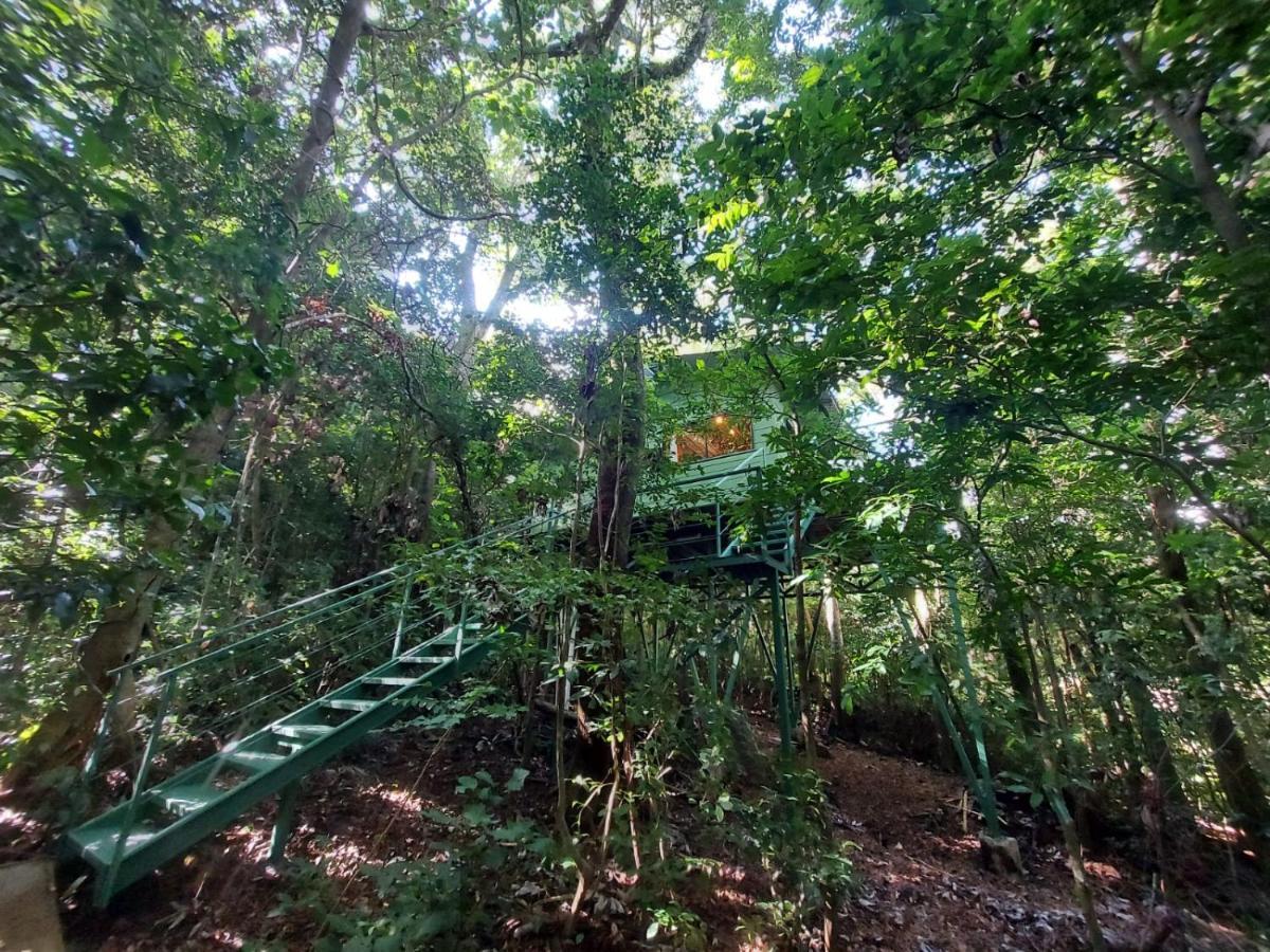 Jungle Living Tree Houses Monteverde Exteriör bild