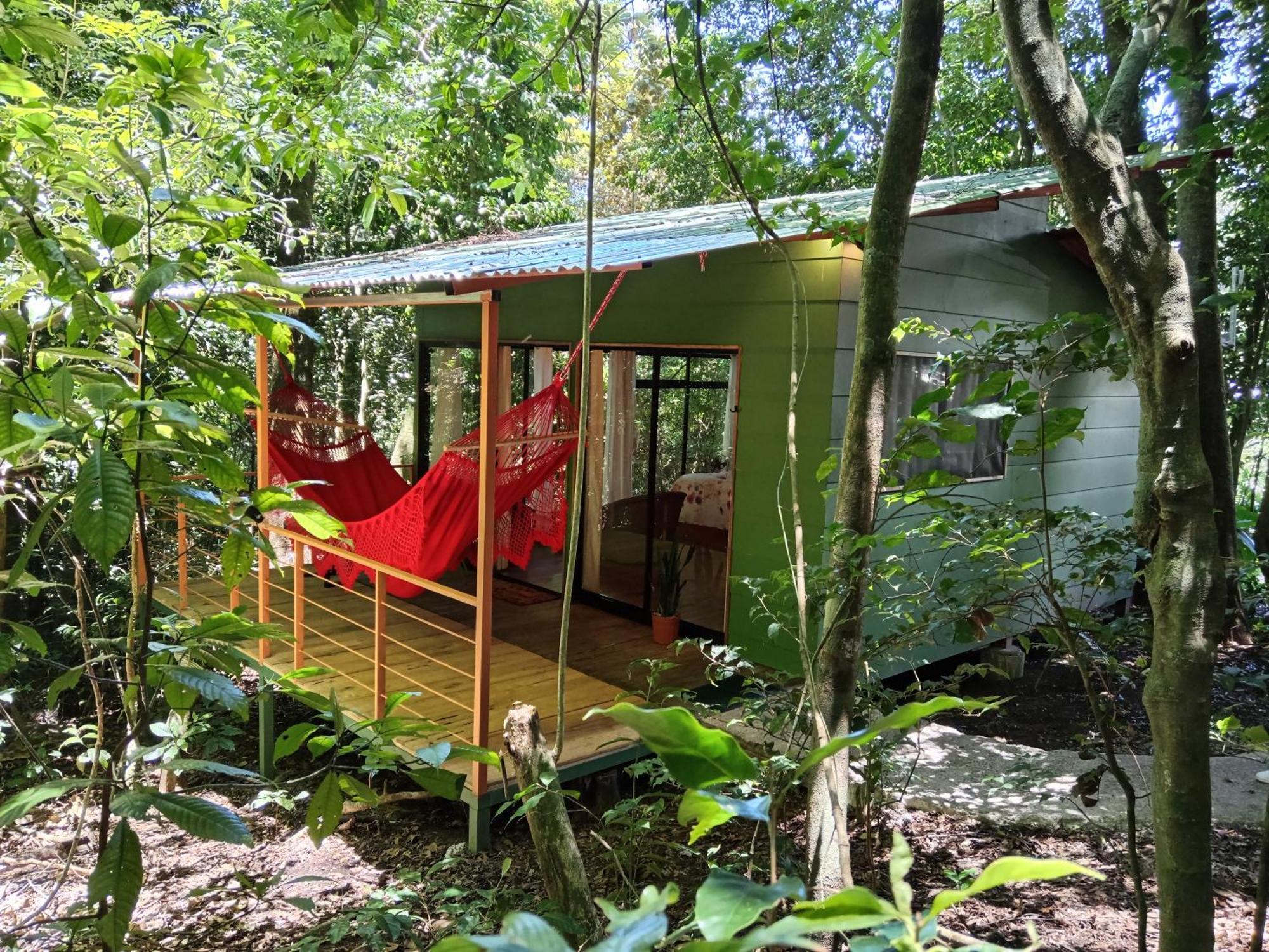 Jungle Living Tree Houses Monteverde Exteriör bild