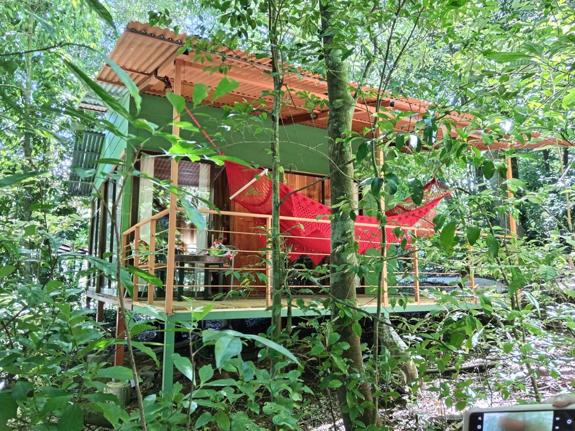 Jungle Living Tree Houses Monteverde Exteriör bild