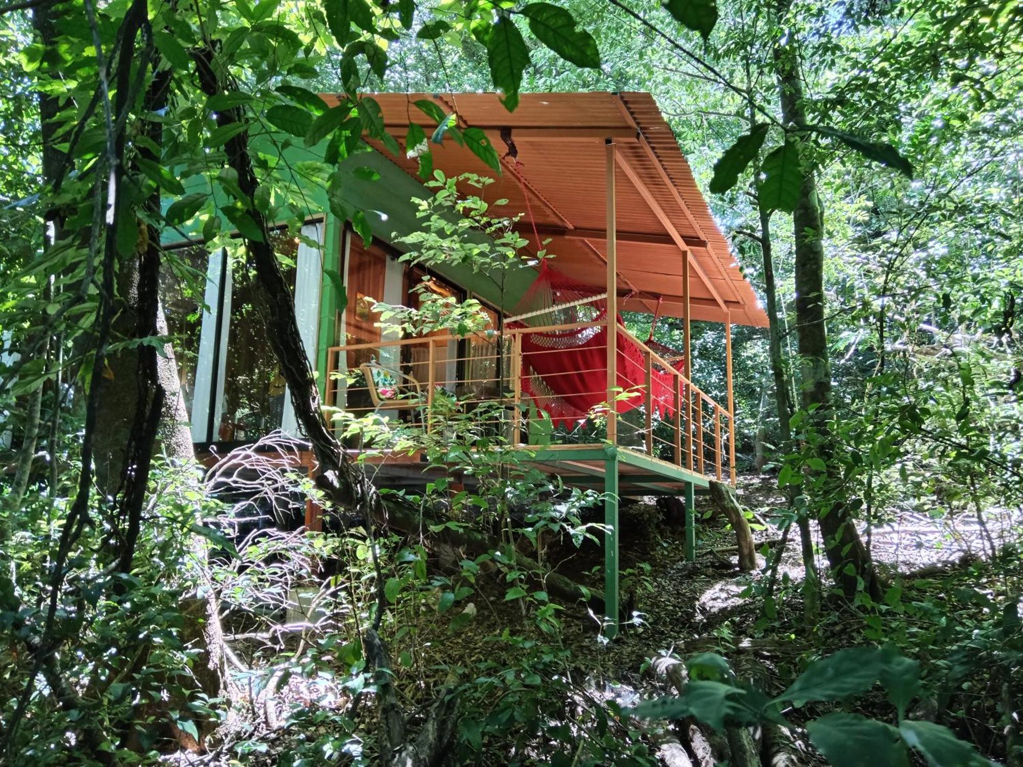 Jungle Living Tree Houses Monteverde Exteriör bild
