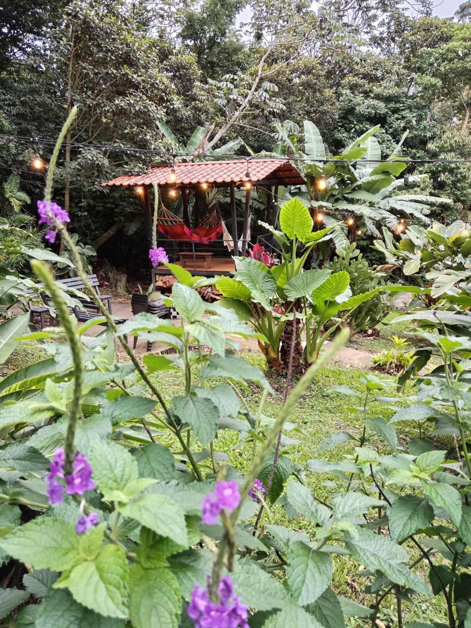 Jungle Living Tree Houses Monteverde Exteriör bild