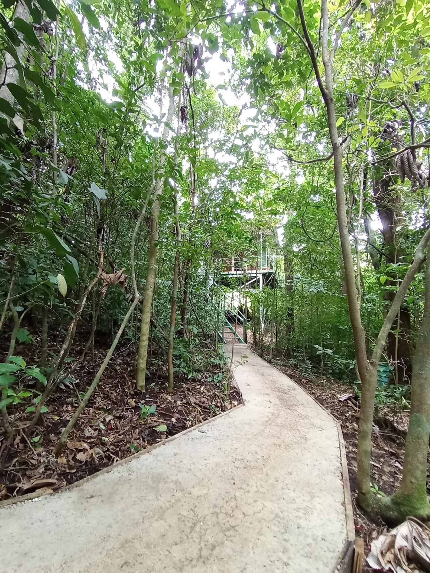Jungle Living Tree Houses Monteverde Exteriör bild