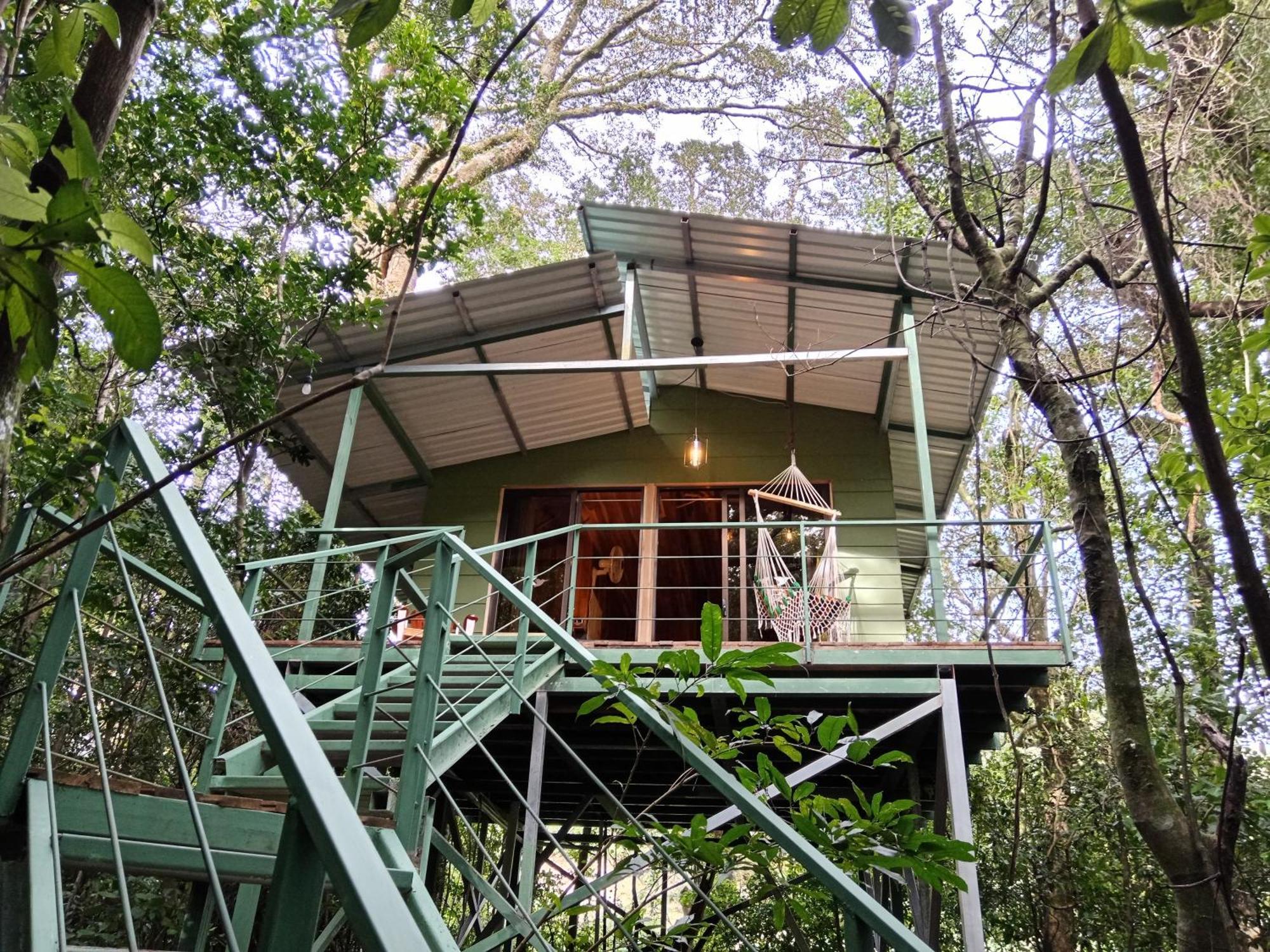 Jungle Living Tree Houses Monteverde Exteriör bild
