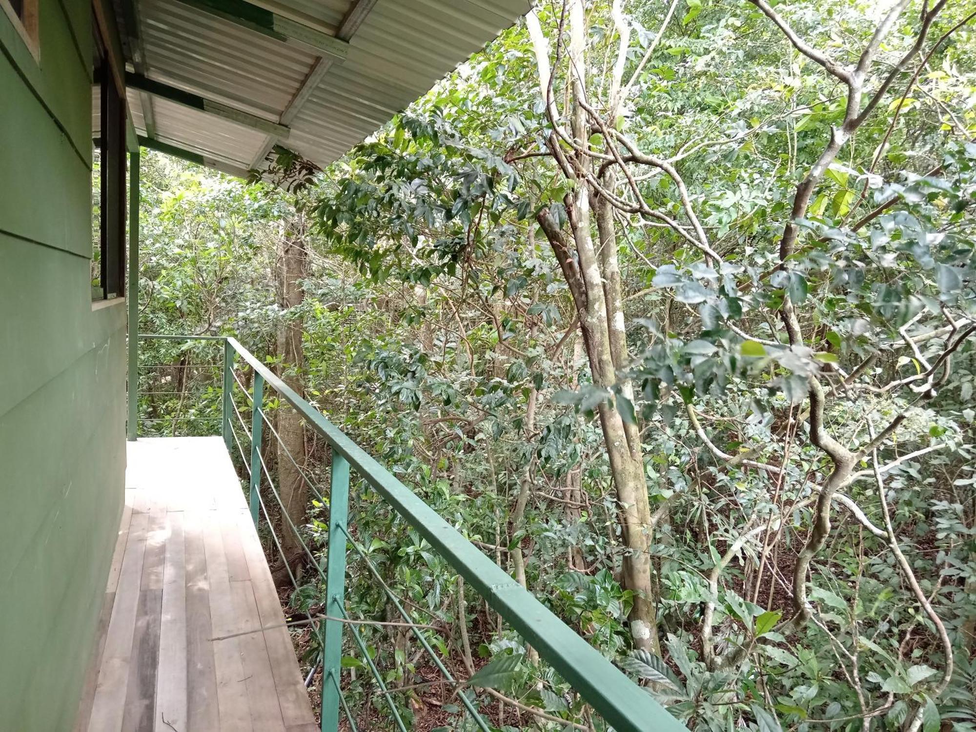 Jungle Living Tree Houses Monteverde Exteriör bild