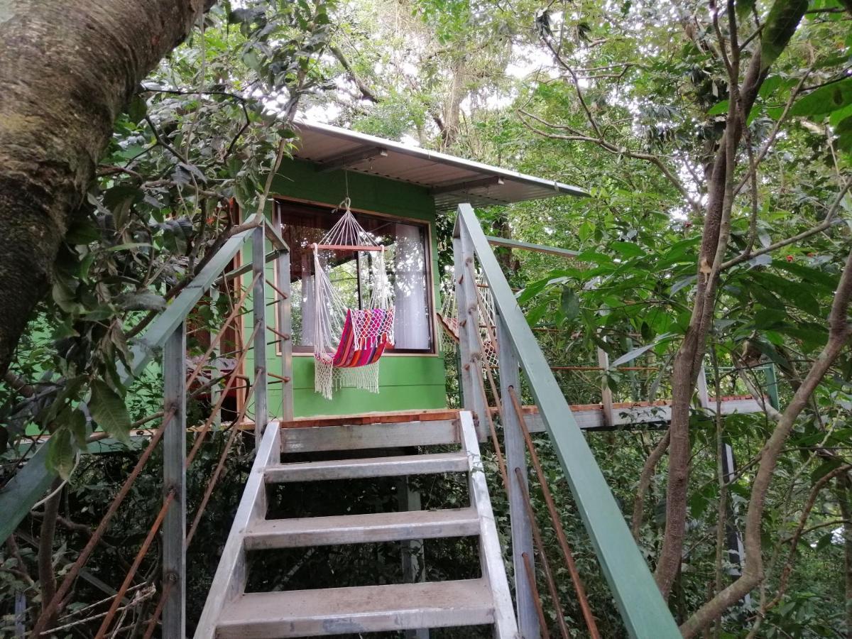 Jungle Living Tree Houses Monteverde Exteriör bild
